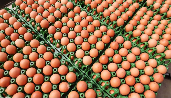  Preços de alimentos e bebidas caem pelo segundo mês consecutivo no Paraná